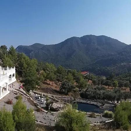 Hotel Palace Gokbel 5*